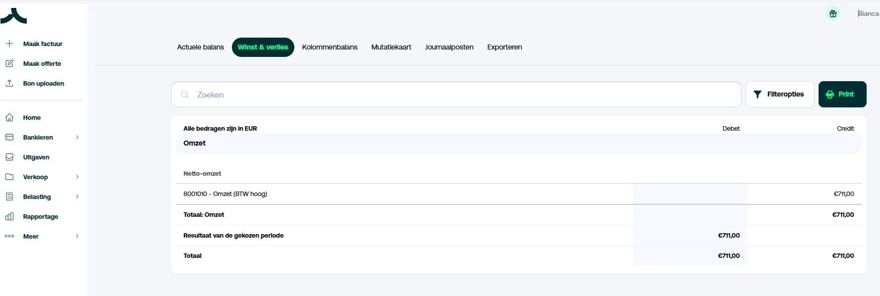 Interface Tellow: winst- en verliesrekening maken